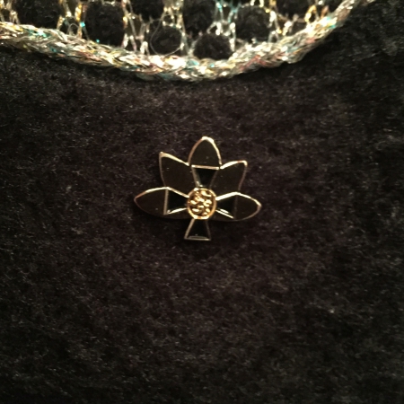 Anja Vesterisen sotaorpotunnus