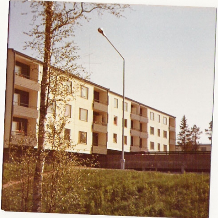 Mellunhirvi vuonna 1969