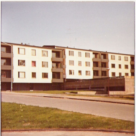 Mellunhirvi vuonna 1969